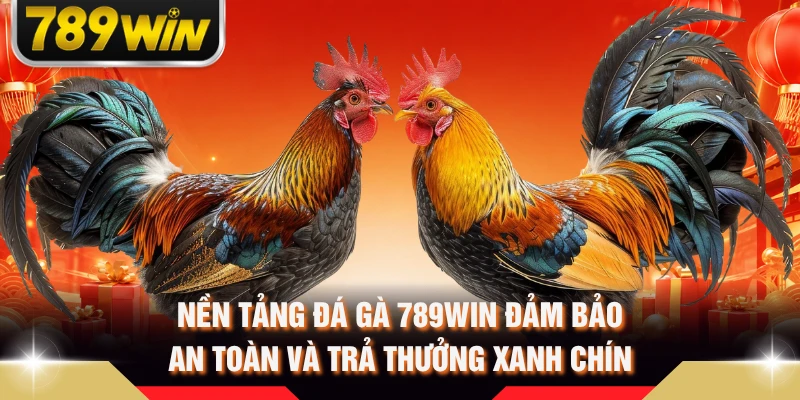Nền tảng đá gà 789WIN đảm bảo an toàn và trả thưởng xanh chín